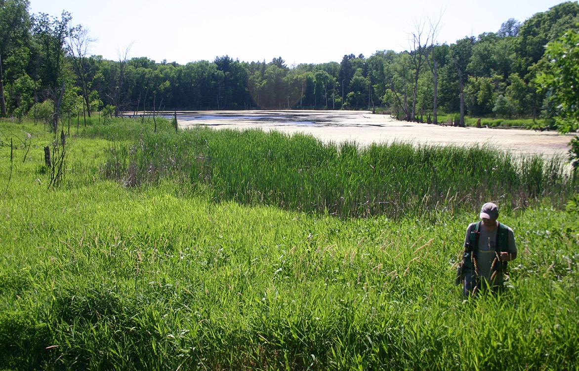 Improving the ecological health of natural areas within your park system