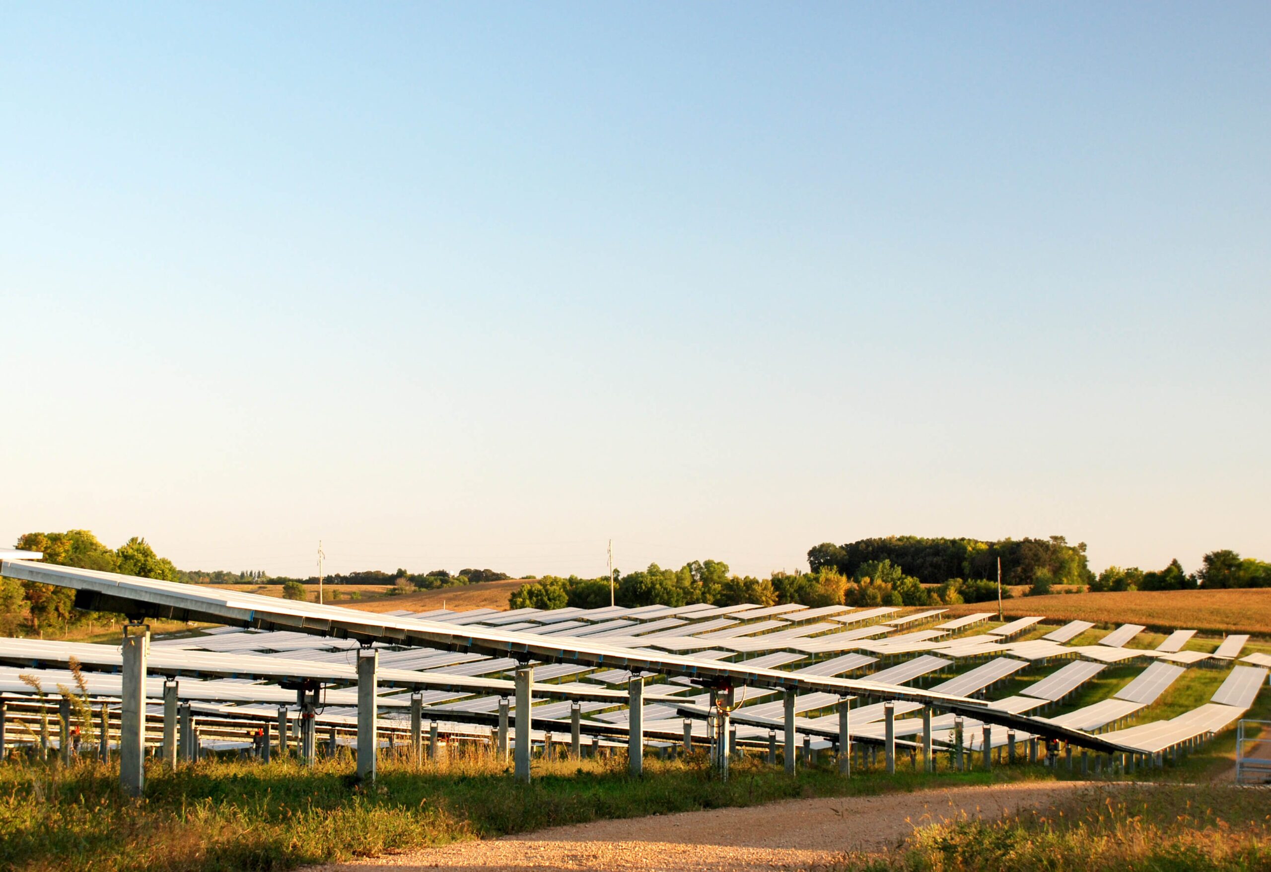 Rows of solar panels on a sunny day with a clear blue sky