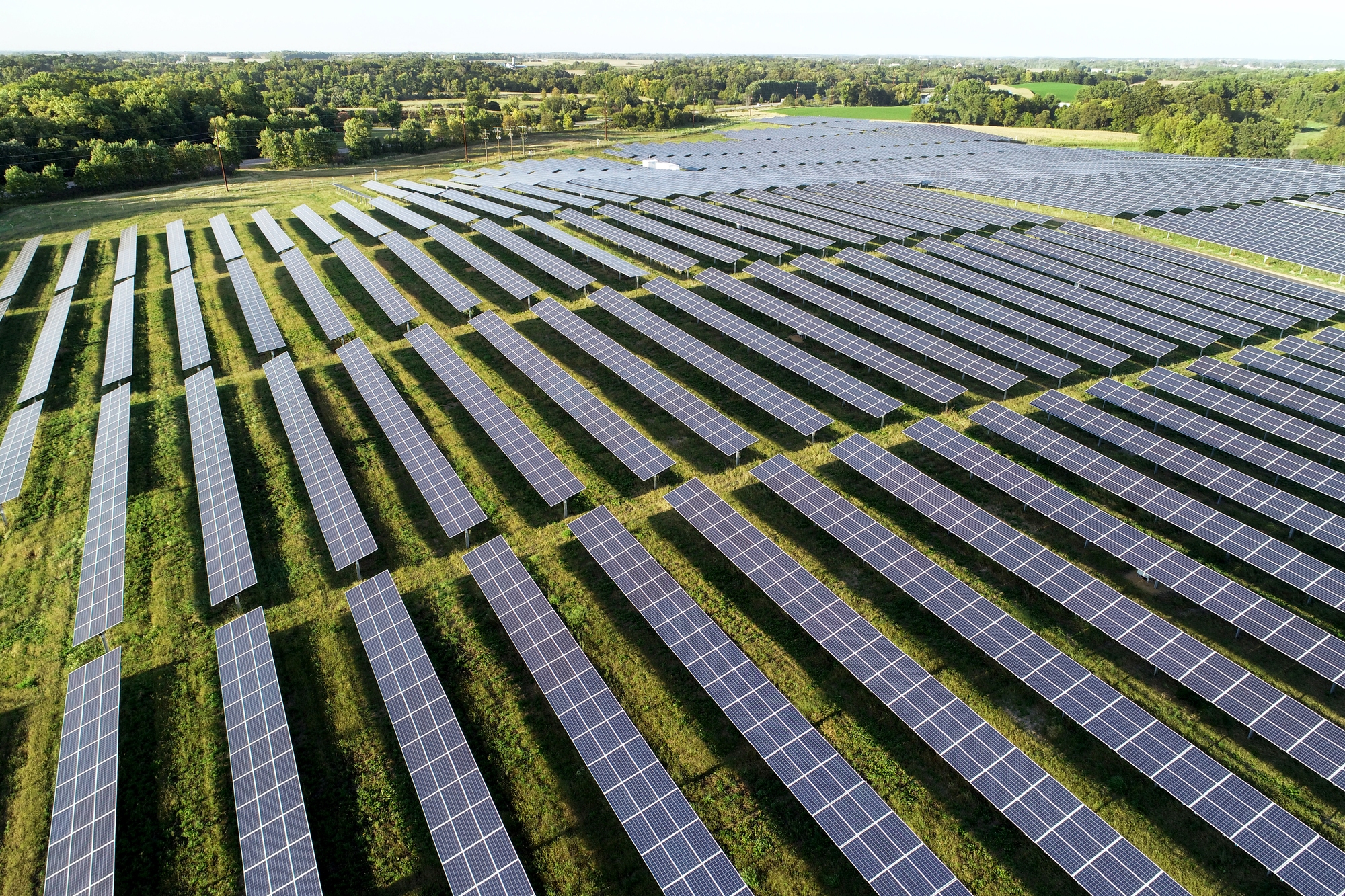 Rows of solar panels in a green grassy field
