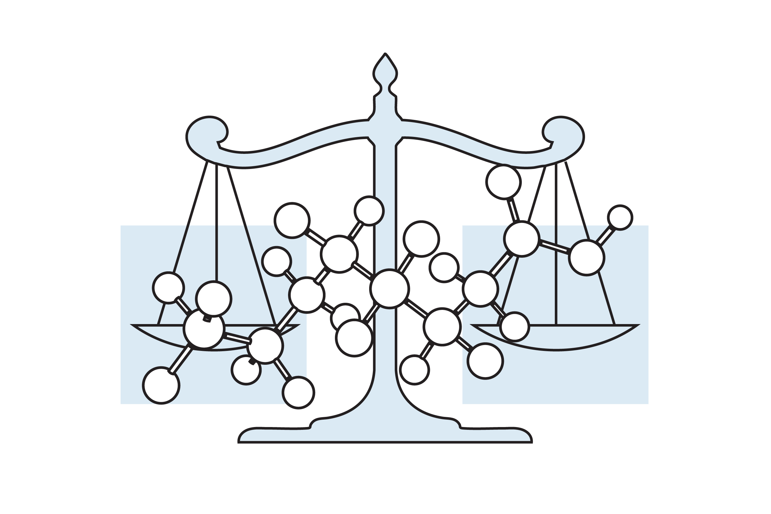 Litigation support