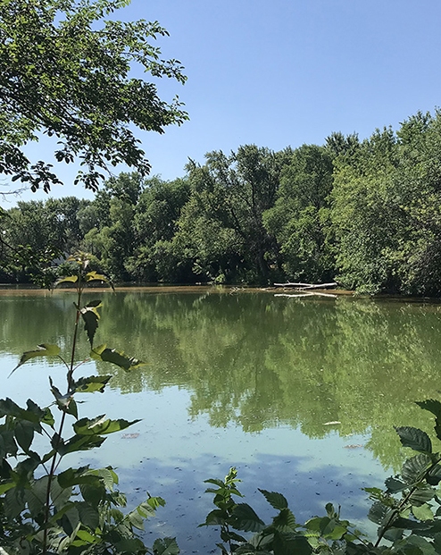 A stormwater pond in Minnesota.