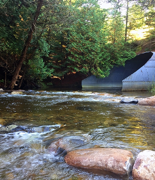 Tailored solutions for your business