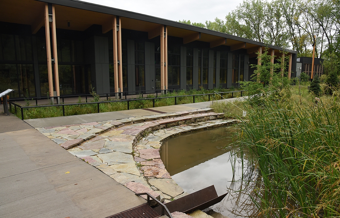 “Backyard” rainwater feature reduces downstream pollutants