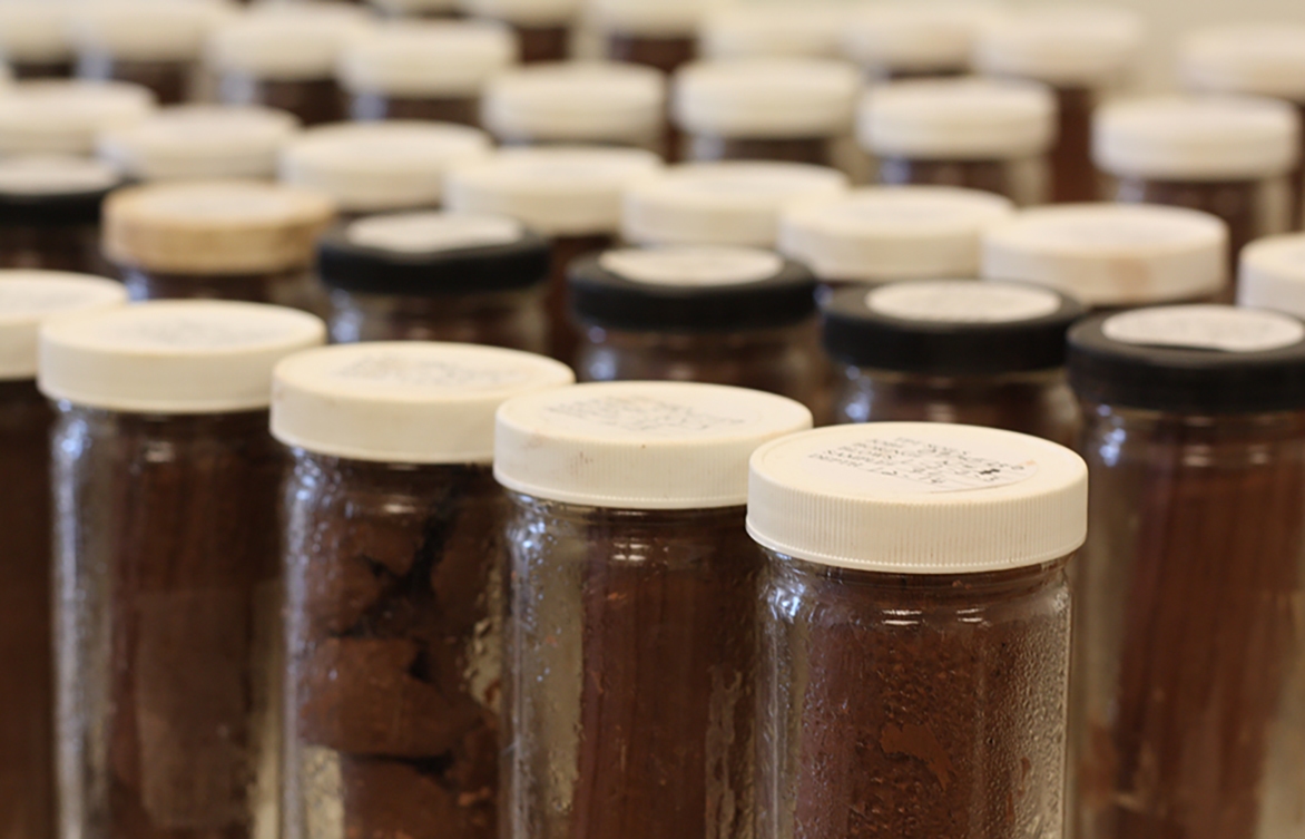 Statistics unlock answers to contamination questions
