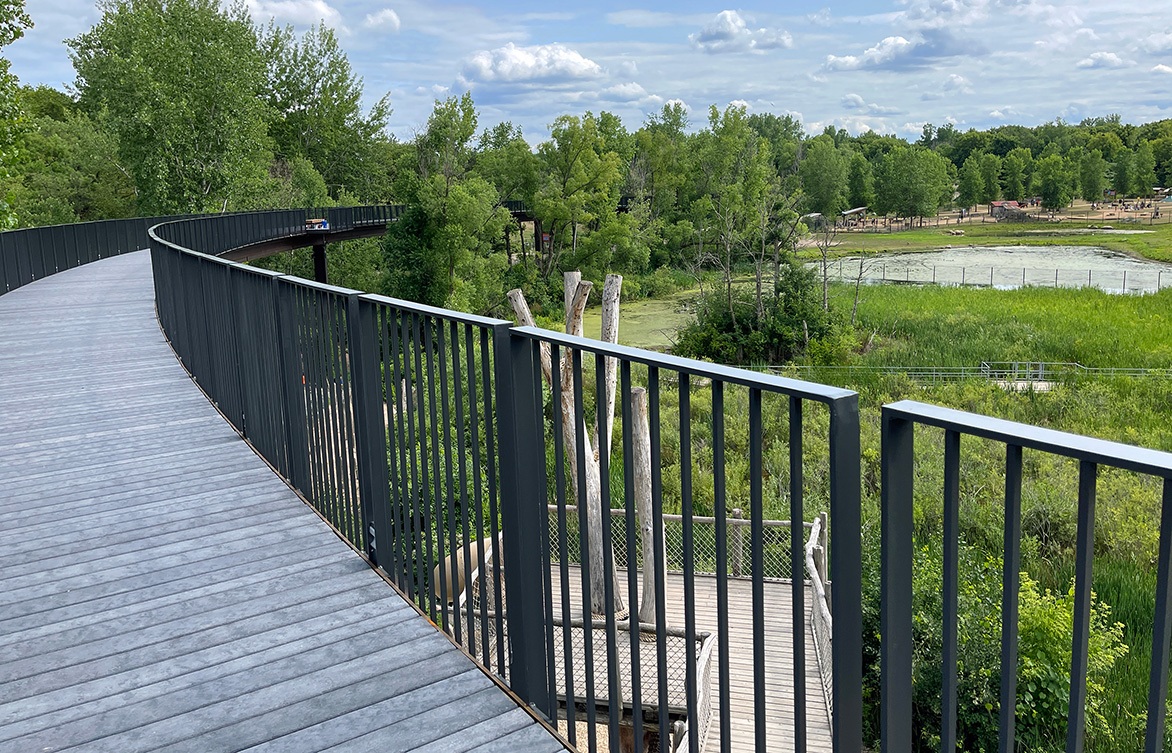 A zoo with a view: Treetop Trail opens