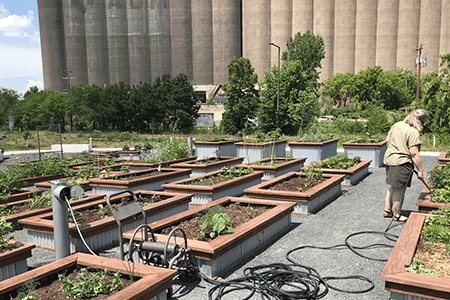 Irrigation garden reuse