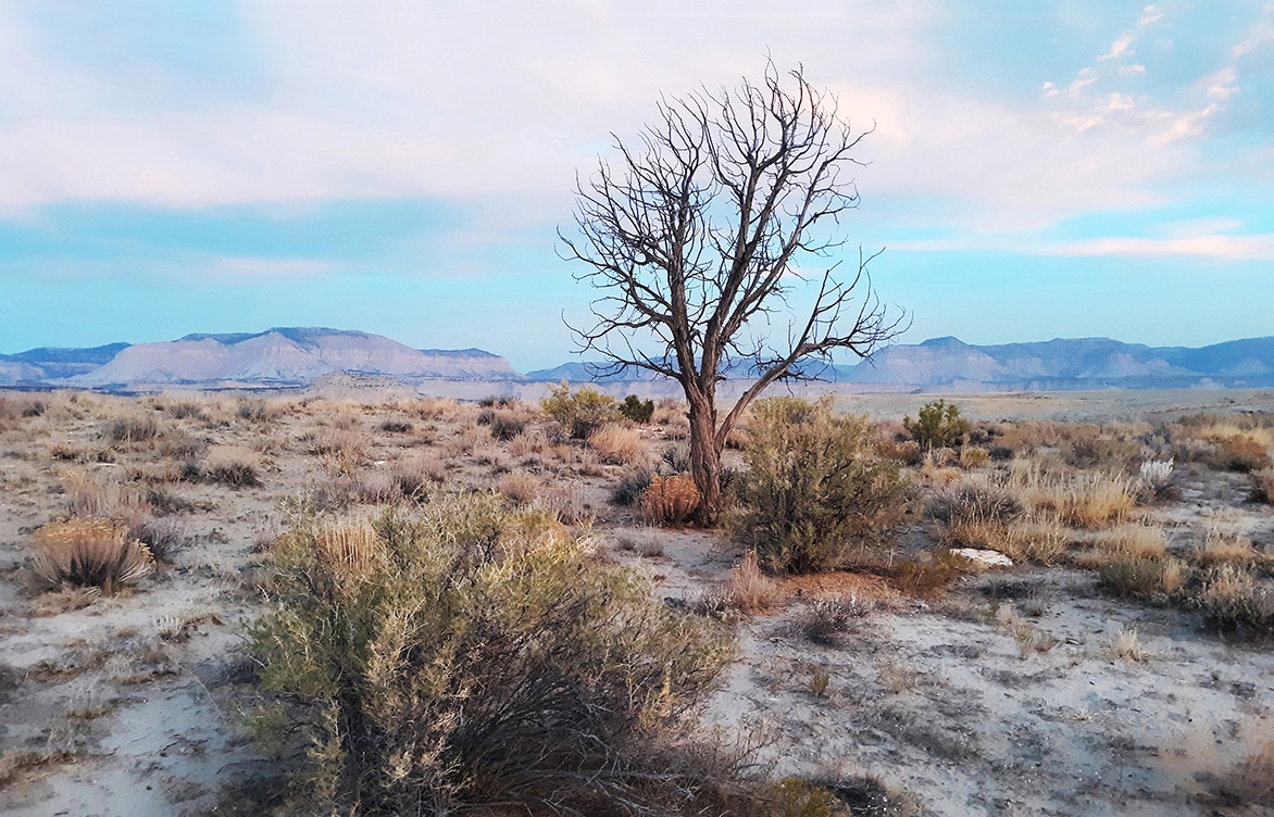 Adding lithium to mining operations: Environmental, permitting, and ESG factors
