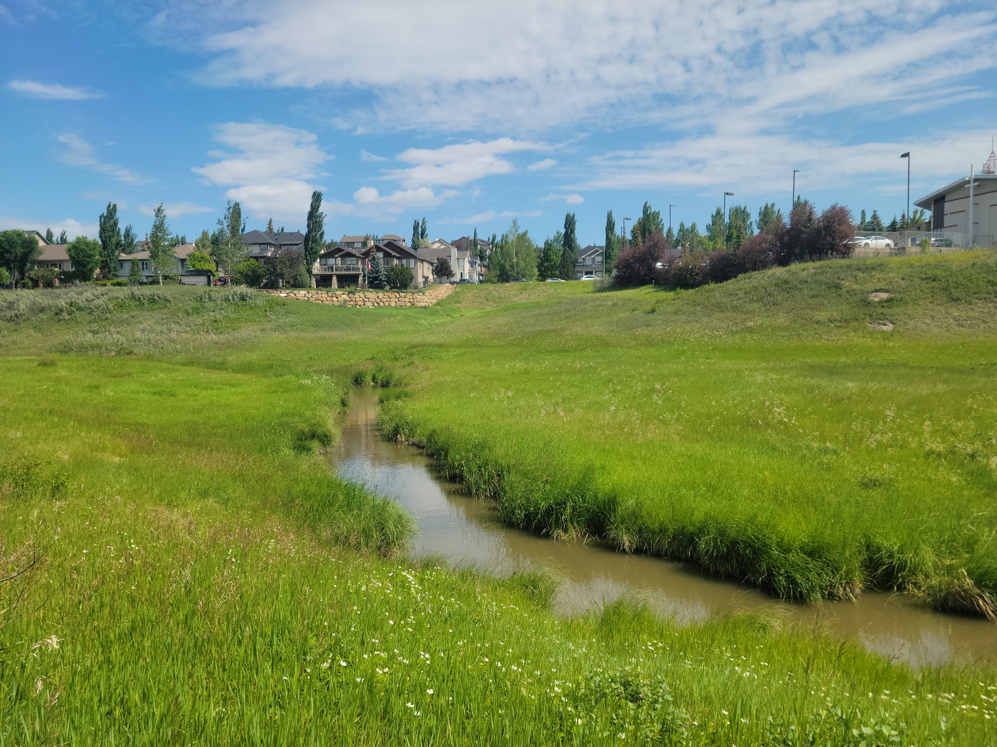 A small stream in a grassy field and a neighborhood behind it